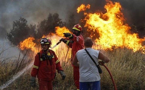 Cháy rừng nghiêm trọng nhất trong lịch sử, Cộng hòa Síp kêu gọi sự hỗ trợ quốc tế